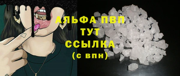 гашик Белокуриха